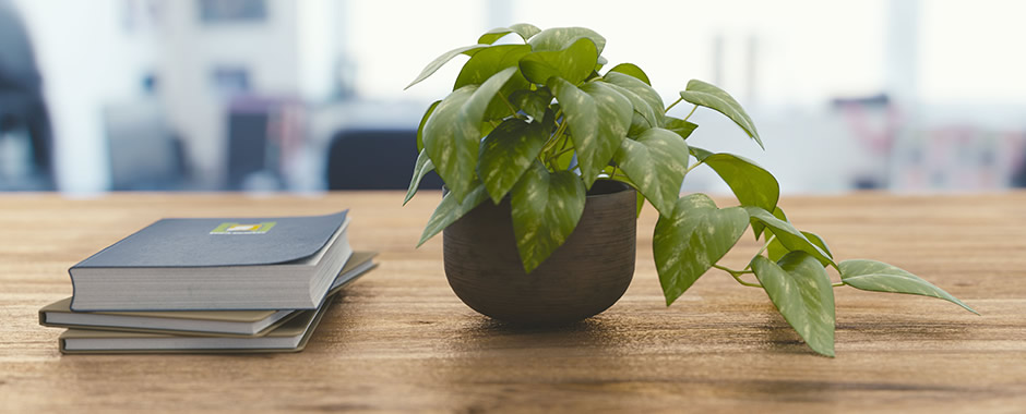 辦公室設(shè)計(jì)任務(wù)書_鹽城市市政府辦公室副秘書長(zhǎng)_寫字樓辦公室文化墻